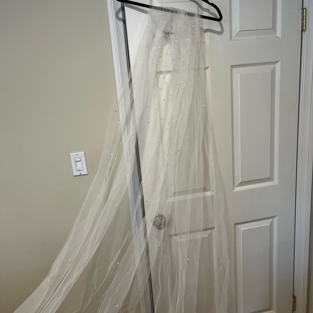 Rhinestone tulle veil NWT 10 ft